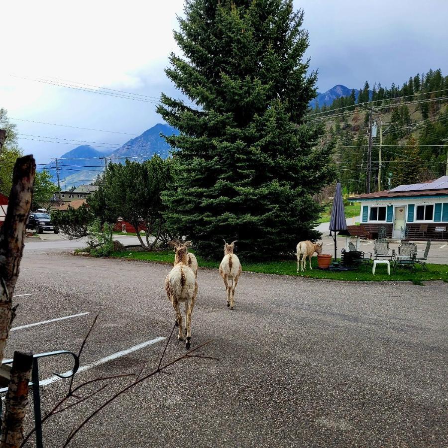 Lido Motel Radium Hot Springs Buitenkant foto