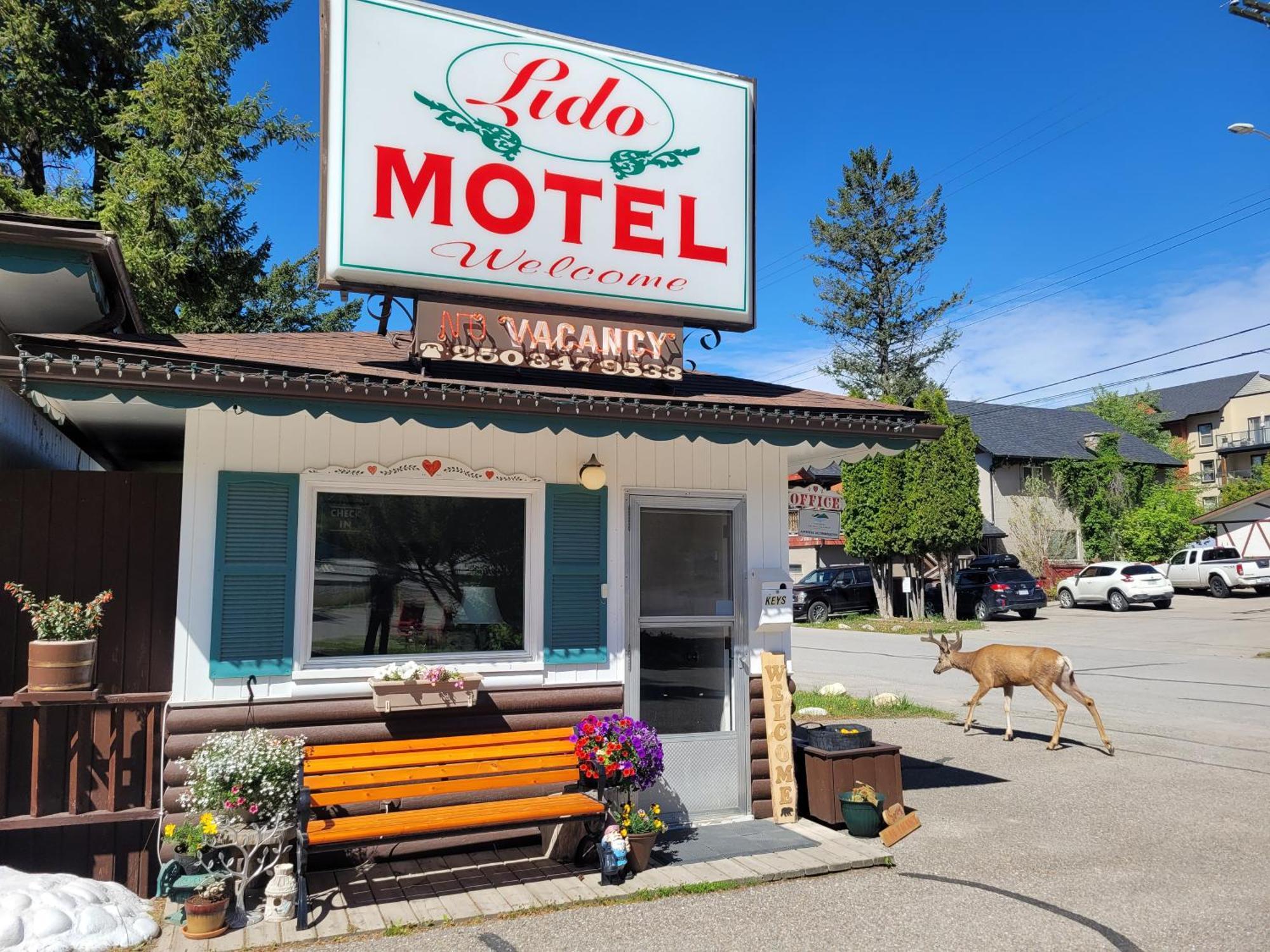 Lido Motel Radium Hot Springs Buitenkant foto