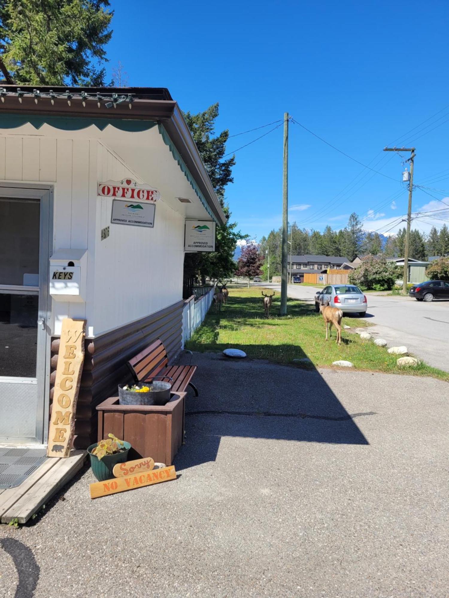 Lido Motel Radium Hot Springs Buitenkant foto